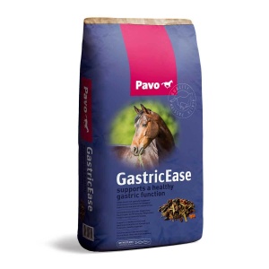 GastricEase 15 kg