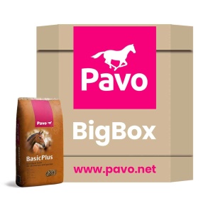 BasicPlus 725 kg
