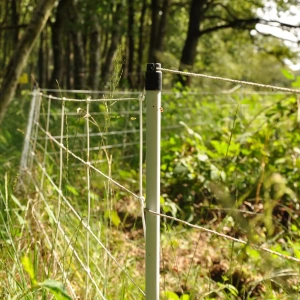 Wildzwijnnetten, wit 75/1-14/W-50m