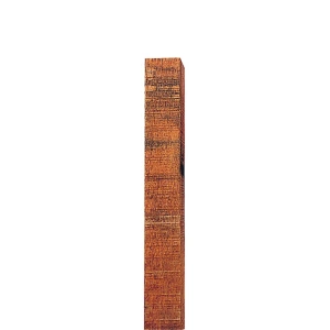 Insultimber (FSC) Zeefpaal 250x10x10cm (10x1)