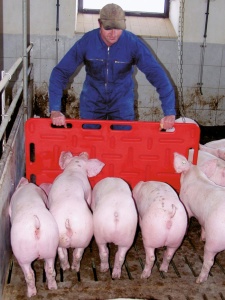 Drijfpaneel met gleuven Rood 126x76cm