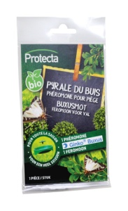 Ginko Buxus feromoon voor val
