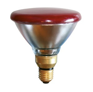 Warmtellamp PAR38 175w Rood