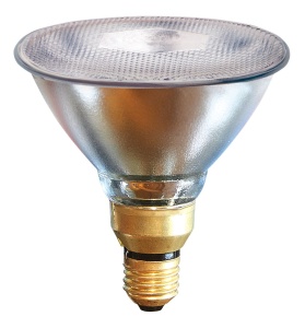 Warmtelamp PAR38 175w Helder