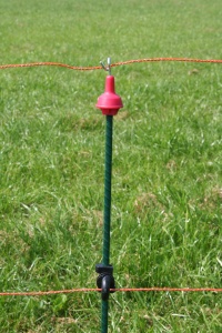 Veerstaal palen 105cm, groen ovaal