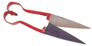 Wolschaar, 31cm
