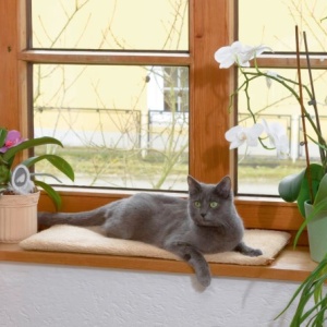 Vensterkussen kat zelfwarmend lichtbruin