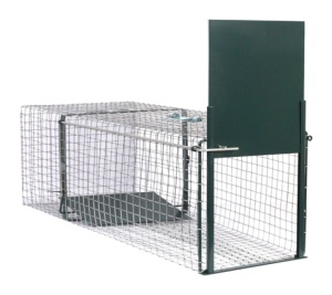 Vangkooi 1 ingang XL 100x34x34