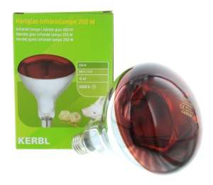 Warmtelamp infrarood 250W rood