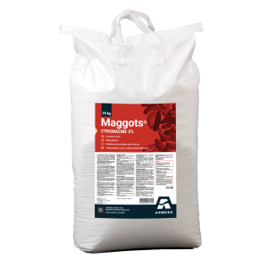 Maggots 25 KG NL
