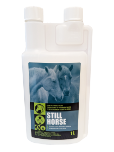 Still Horse 1L NL