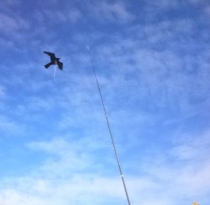 Birdscare Kite compleet, 7m
