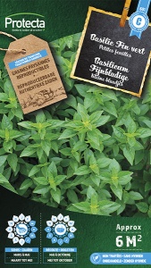 Basilicum Fijnbladige*