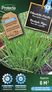 Bieslook