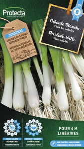 Bieslook  Witte