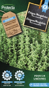Origano Marjolein