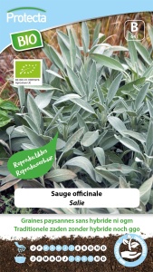 SalieFR-BIO-15