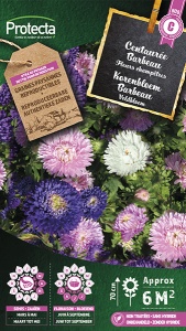 Korenbloem Barbeau gemengd