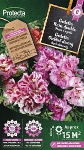 Godetia Azaleabloemig gemengd