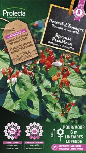 Spaanse Pronkboon