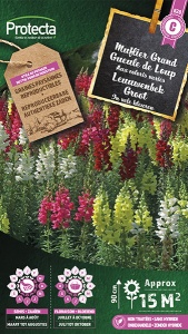 Leeuwenbek Groot gemengd