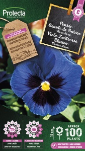 Viola Zwitserse Blauwe