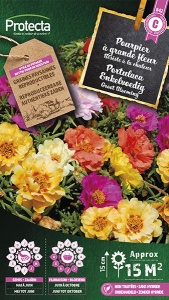 Portulaca Grootbloeming gemengd