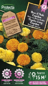 Tagetes Laag Cupidon gemengd