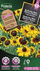 Rudbeckia Hirta Gloriosa Daisies