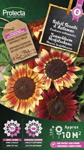 Zonnebloem Herfstschone