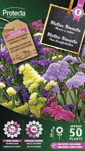 Statice Sinuata Gemengd