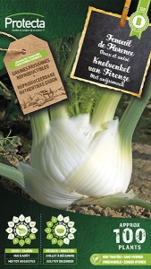 Knolvenkel Zachte van Firenze