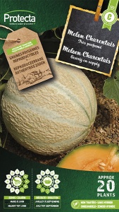 Meloen Canteloup Charentais