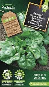 Spinazie Winterreuzen