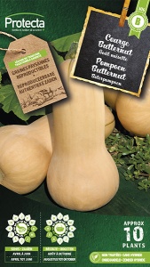 Pompoen Butternut