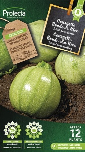 Courgette Ronde van Nice