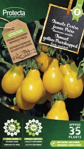 Tomaat  yellow Pearshapped