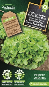 Eikenbladsla Groene Salad Bowl
