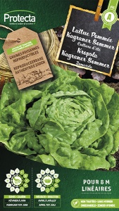 Kropsla Kagranner Sommer 2