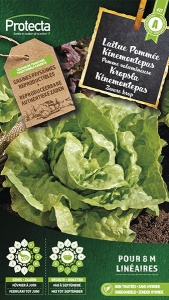 Kropsla Kinemontepas