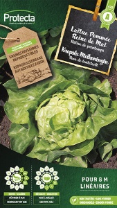 Kropsla Meikoningin