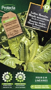 Romeinse bindsla "Blonde Maraichre"