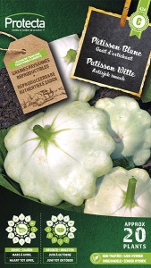 Patisson Witte
