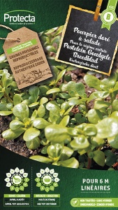 Postelein Goudgele Breedblad