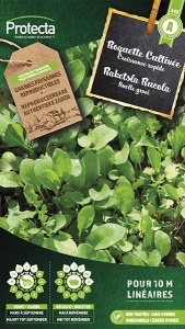 Raketsla Rucola