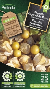 Physalis ananaskers