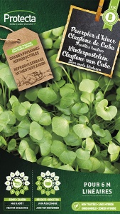 Claytone van Cuba, winterpostelein