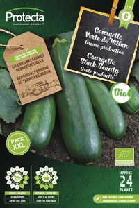 Courgette Black Beauty FR-BIO-15 XXL