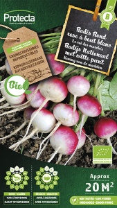 Radijs Ronde met witte punt FR-BIO-15