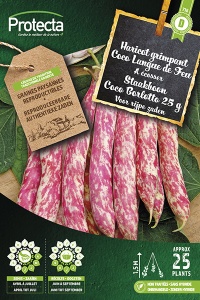 Staakboon Coco Borlotto 25 g